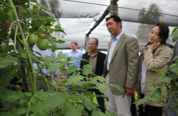 Cultivating Alto Paraguay