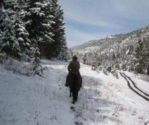 Riding into the woods on horseback.