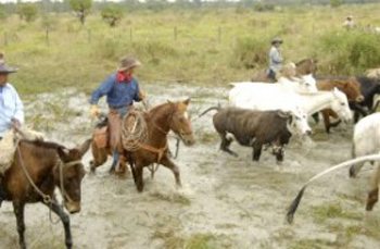 Hyun Jin Moon, Hyun Jin Preston Moon, Hyun Jin P. Moon, moral and innovative leadership, Dr. Hyun Jin Moon and Paraguayan leaders at the Cattle Drive