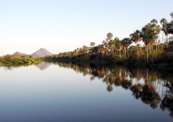 Alto Paraguay has a rich biodiversity ranging from the Pantanal to the Chaco.