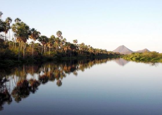 Alto Paraguay has a rich biodiversity ranging from the Pantanal to the Chaco.