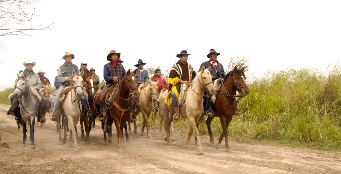 moral authority in the Paraguay cattle drive in 2008