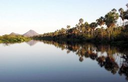 Paraguayan landscape