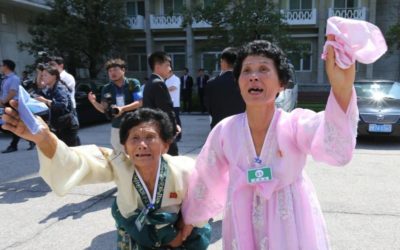 Families Reunited after Decades of Separation: Hope for Korean Reunification
