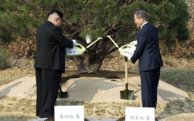 North and South Korea Plant Roots for Peace